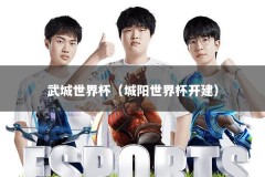 武城世界杯（城阳世界杯开建）