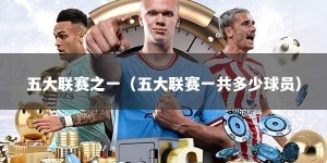 五大联赛之一（五大联赛一共多少球员）