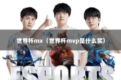 世界杯mx（世界杯mvp是什么奖）