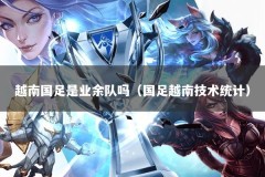 越南国足是业余队吗（国足越南技术统计）