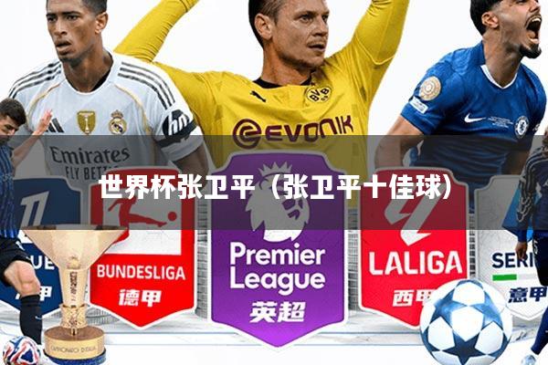 世界杯张卫平(张卫平十佳球)