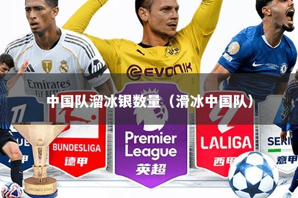 中国队溜冰银数量(滑冰中国队)
