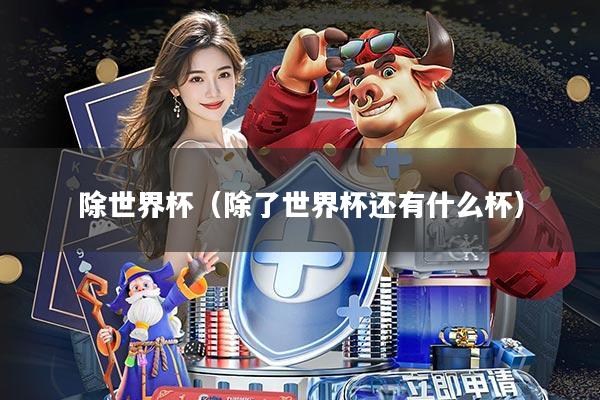 除世界杯(除了世界杯还有什么杯)